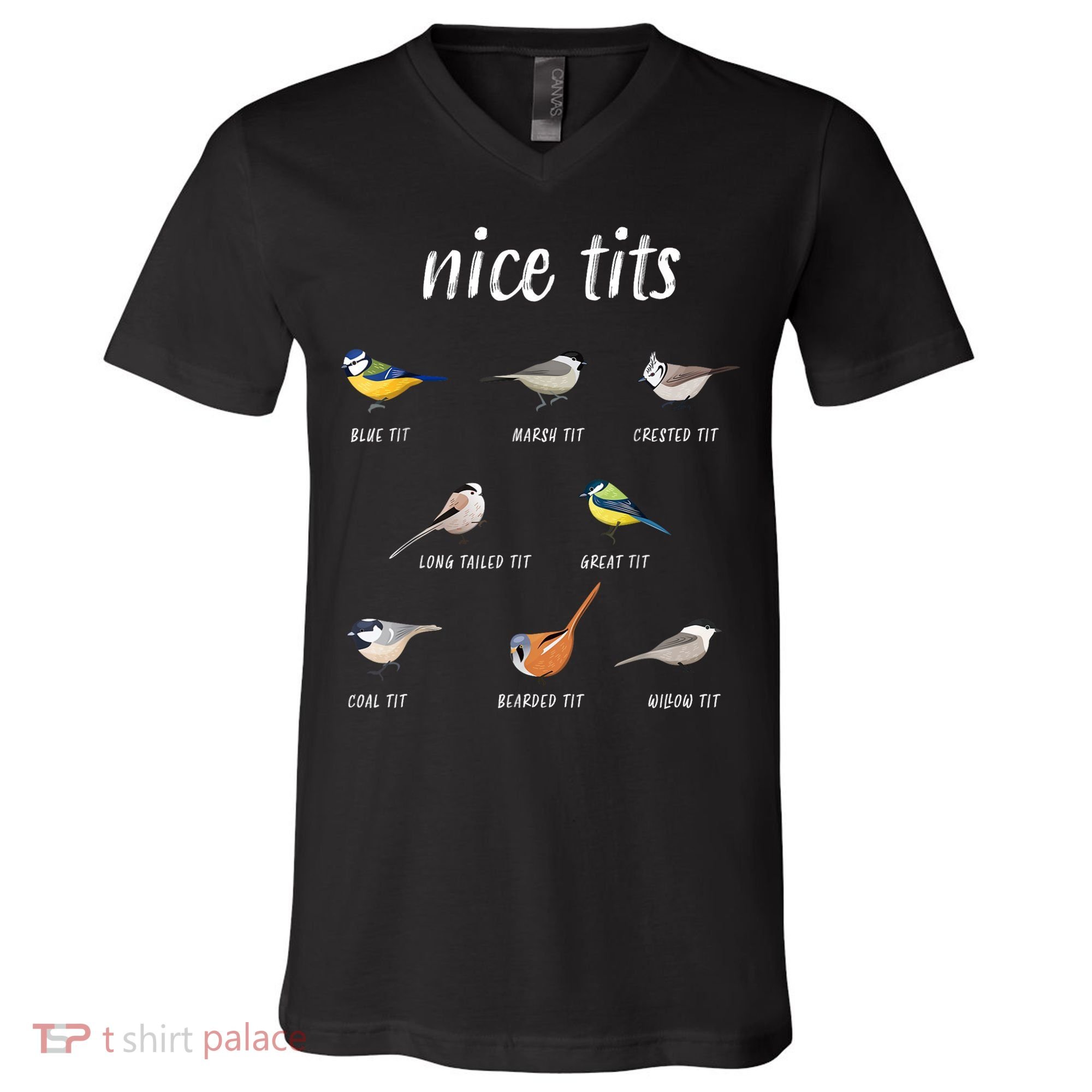 Nice Tits Funny Bird Watching Gift Dad V-Neck T-Shirt