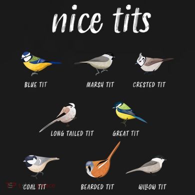 Nice Tits Funny Bird Watching Gift Dad V-Neck T-Shirt