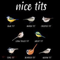 Nice Tits Funny Bird Watching Gift Dad Women's Hoodie thumb 2