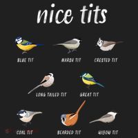 Nice Tits Funny Bird Watching Gift Dad Tumbler thumb 3