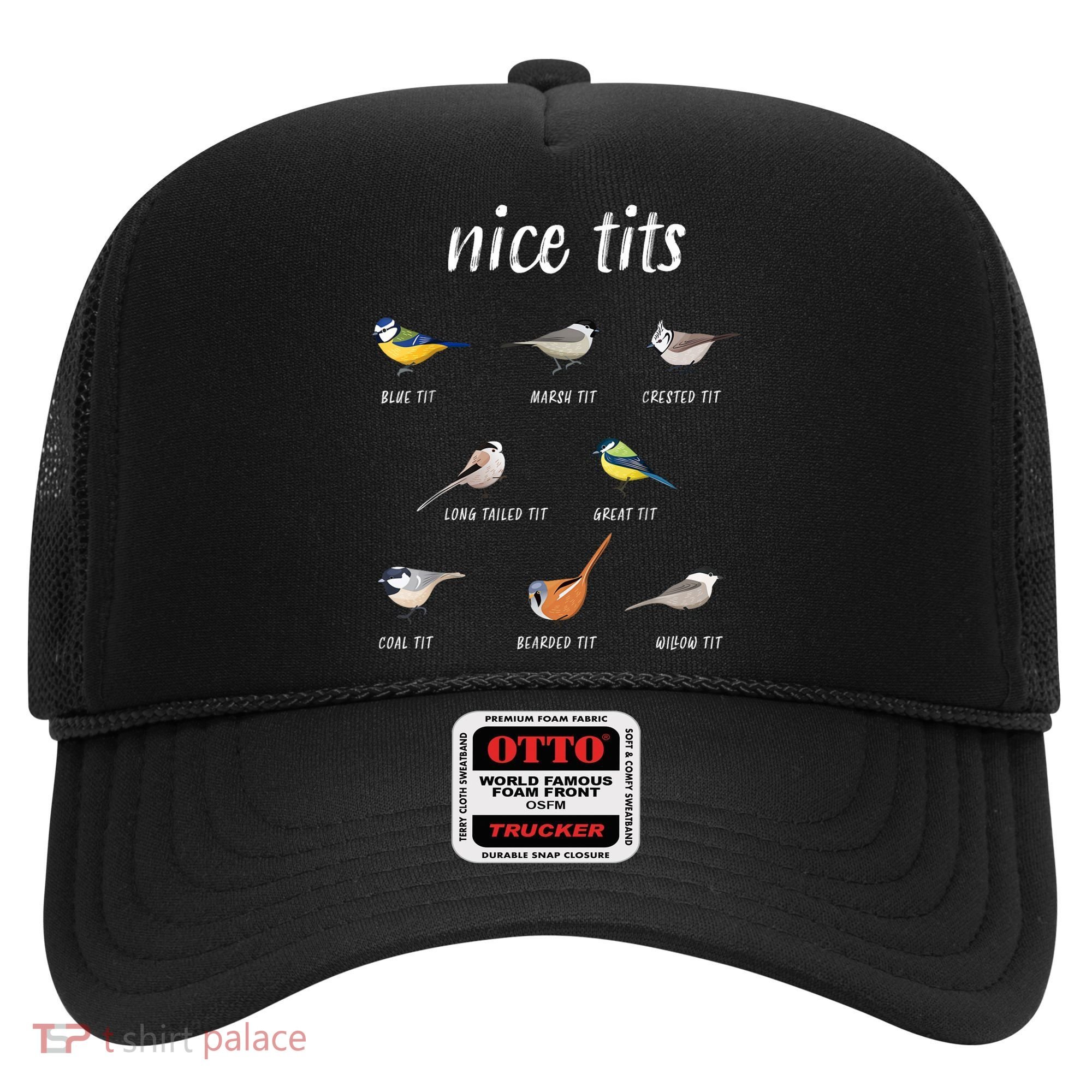 Nice Tits Funny Bird Watching Gift Dad Hat