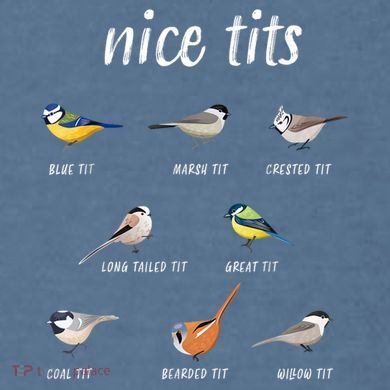 Nice Tits Funny Bird Watching Gift Dad Comfort Colors Garment-Dyed Hooded Sweatshirt