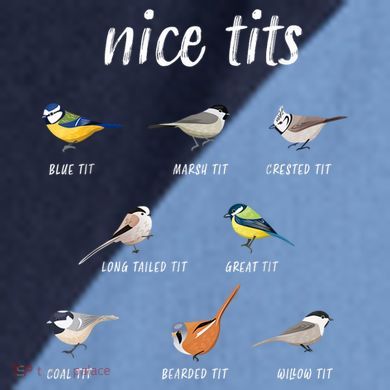 Nice Tits Funny Bird Watching Gift Dad Raglan Baseball Sleeve Shirt