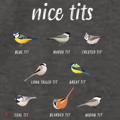 Nice Tits Funny Bird Watching Gift Dad Vector Backpack