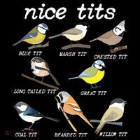Nice Tits Funny Bird Watching, Funny Tit Birds Birdwatcher Women's Hoodie thumb 2