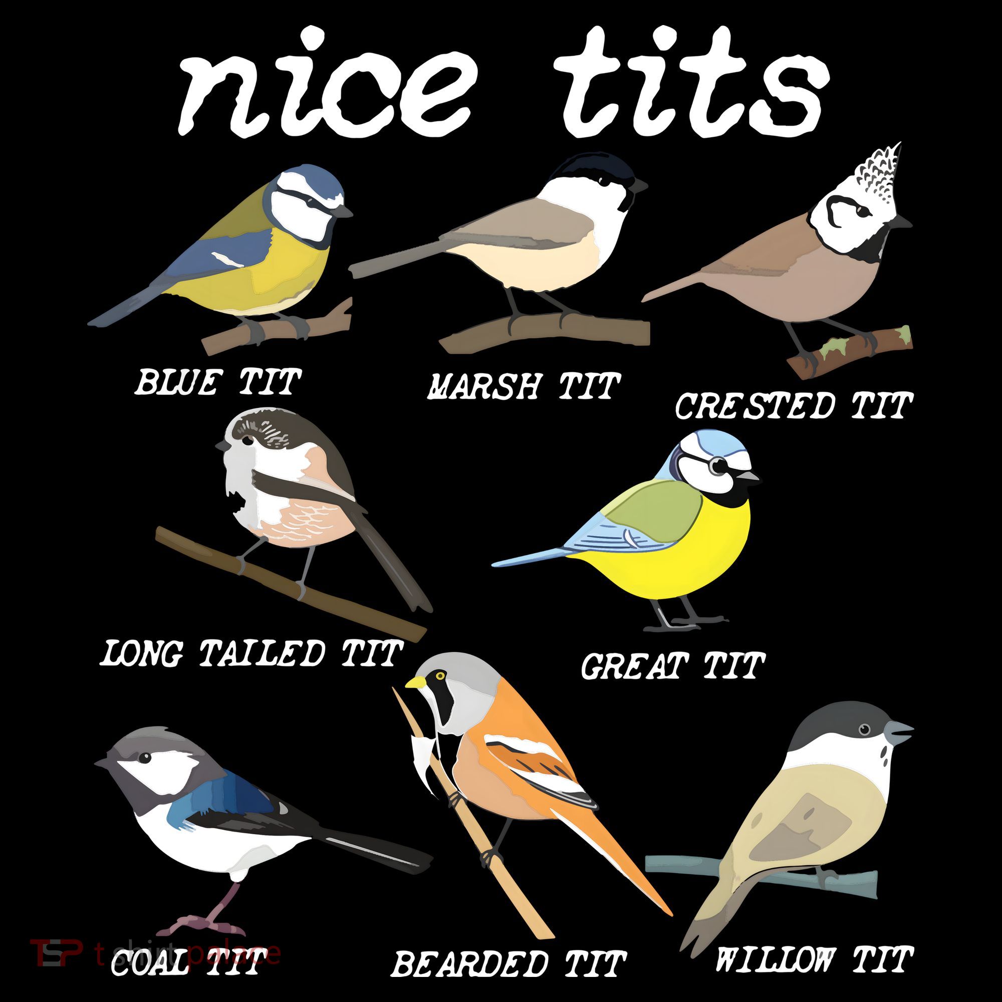 Nice Tits Funny Bird Watching, Funny Tit Birds Birdwatcher Women's Hoodie
