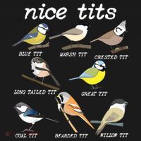 Nice Tits Funny Bird Watching, Funny Tit Birds Birdwatcher Toddler Hoodie thumb 2