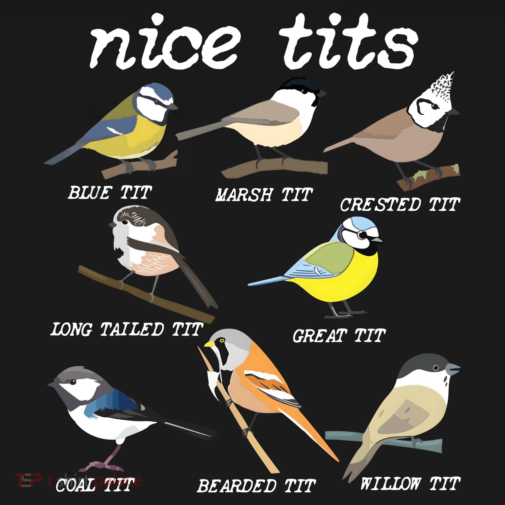 Nice Tits Funny Bird Watching, Funny Tit Birds Birdwatcher Toddler Hoodie