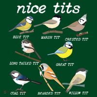 Nice Tits Funny Bird Watching, Funny Tit Birds Birdwatcher Magnet thumb 1