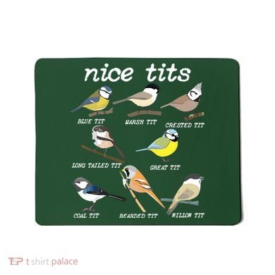 Nice Tits Funny Bird Watching, Funny Tit Birds Birdwatcher Mousepad