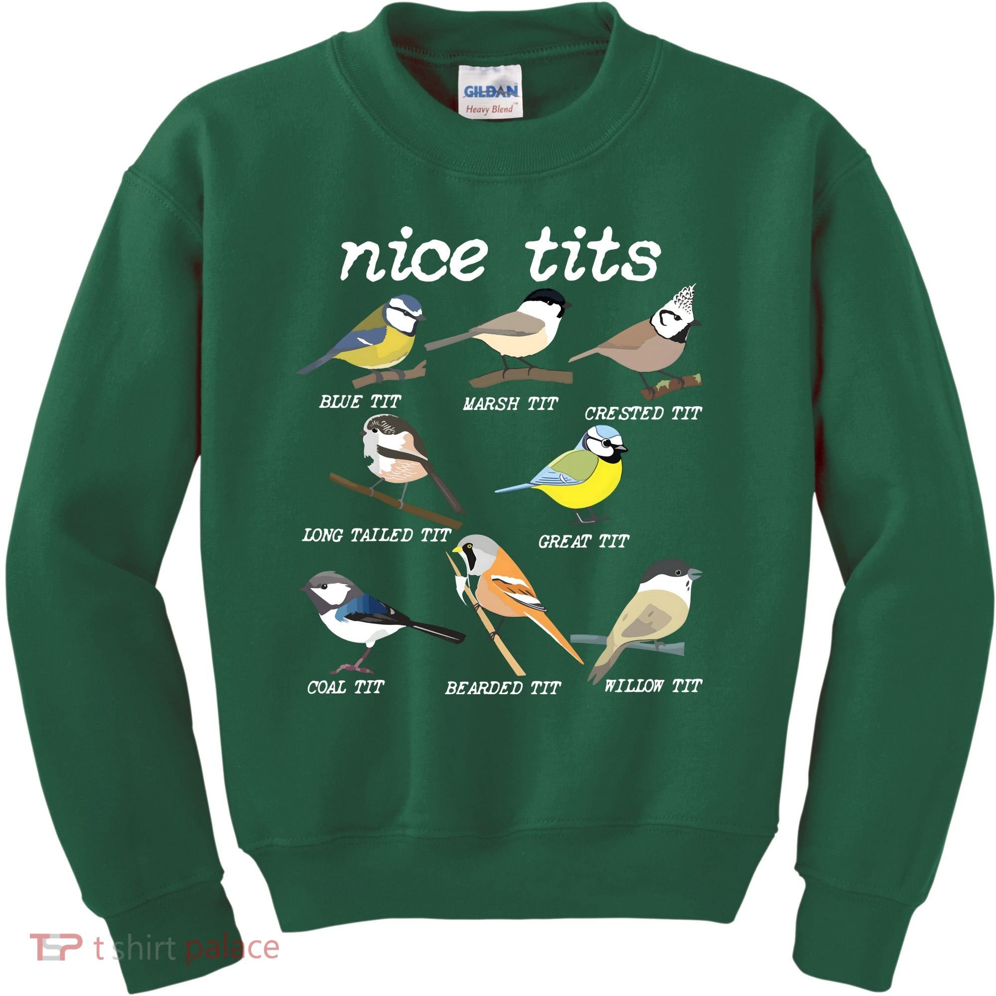 Nice Tits Funny Bird Watching, Funny Tit Birds Birdwatcher Kids Sweatshirt