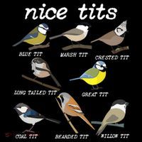 Nice Tits Funny Bird Watching Birdwatcher Stripe Pom Pom Beanie thumb 2