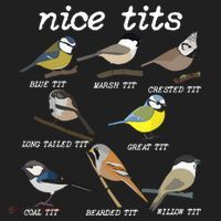 Nice Tits Funny Bird Watching Birdwatcher Women's Sweatshirt thumb 2