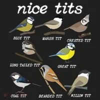 Nice Tits Funny Bird Watching Birdwatcher Women's Sweatshirt thumb 2