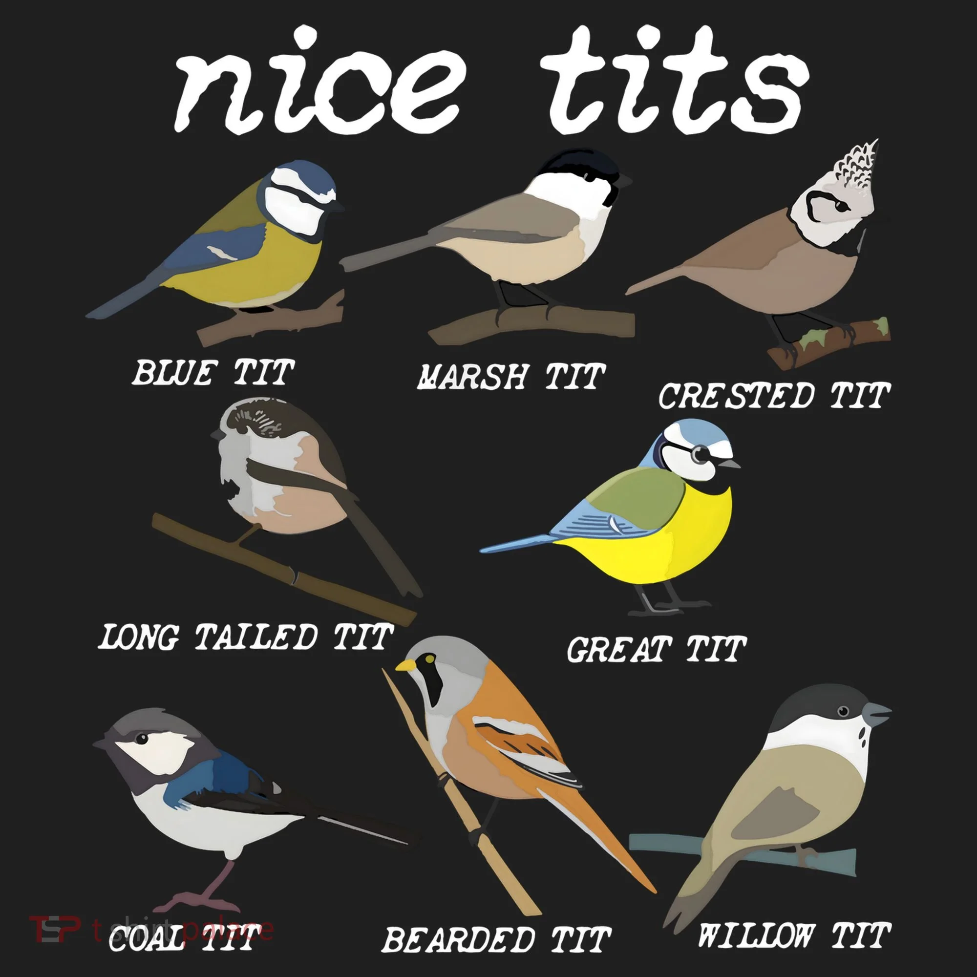 Nice Tits Funny Bird Watching Birdwatcher Women's Sweatshirt