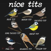 Nice Tits Funny Bird Watching Birdwatcher T-Shirt thumb 7