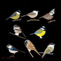 Nice Tits Funny Bird Watching Birdwatcher Coffee Mug thumb 5