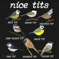Nice Tits Funny Bird Watching Birdwatcher Women's Hoodie thumb 2