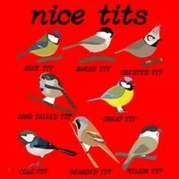Nice Tits Funny Bird Watching Birdwatcher Santa Hat thumb 1