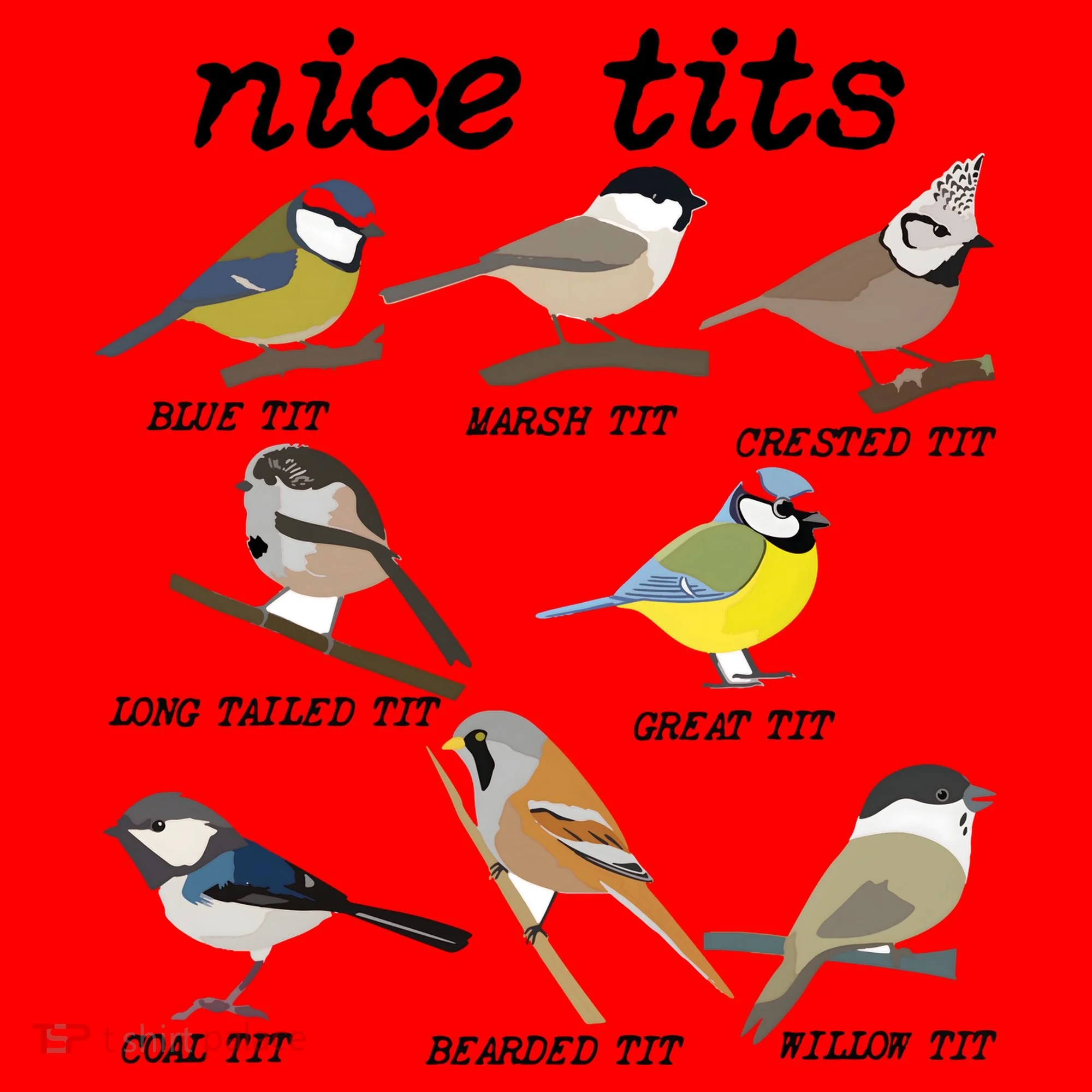Nice Tits Funny Bird Watching Birdwatcher Santa Hat