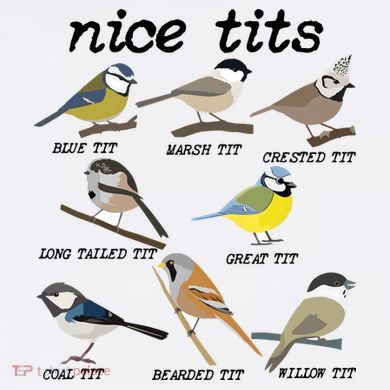Nice Tits Funny Bird Watching Birdwatcher Comfort Colors Garment-Dyed Hooded Sweatshirt