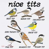 Nice Tits Funny Bird Watching Birdwatcher Comfort Colors Garment-Dyed Hooded Sweatshirt thumb 2