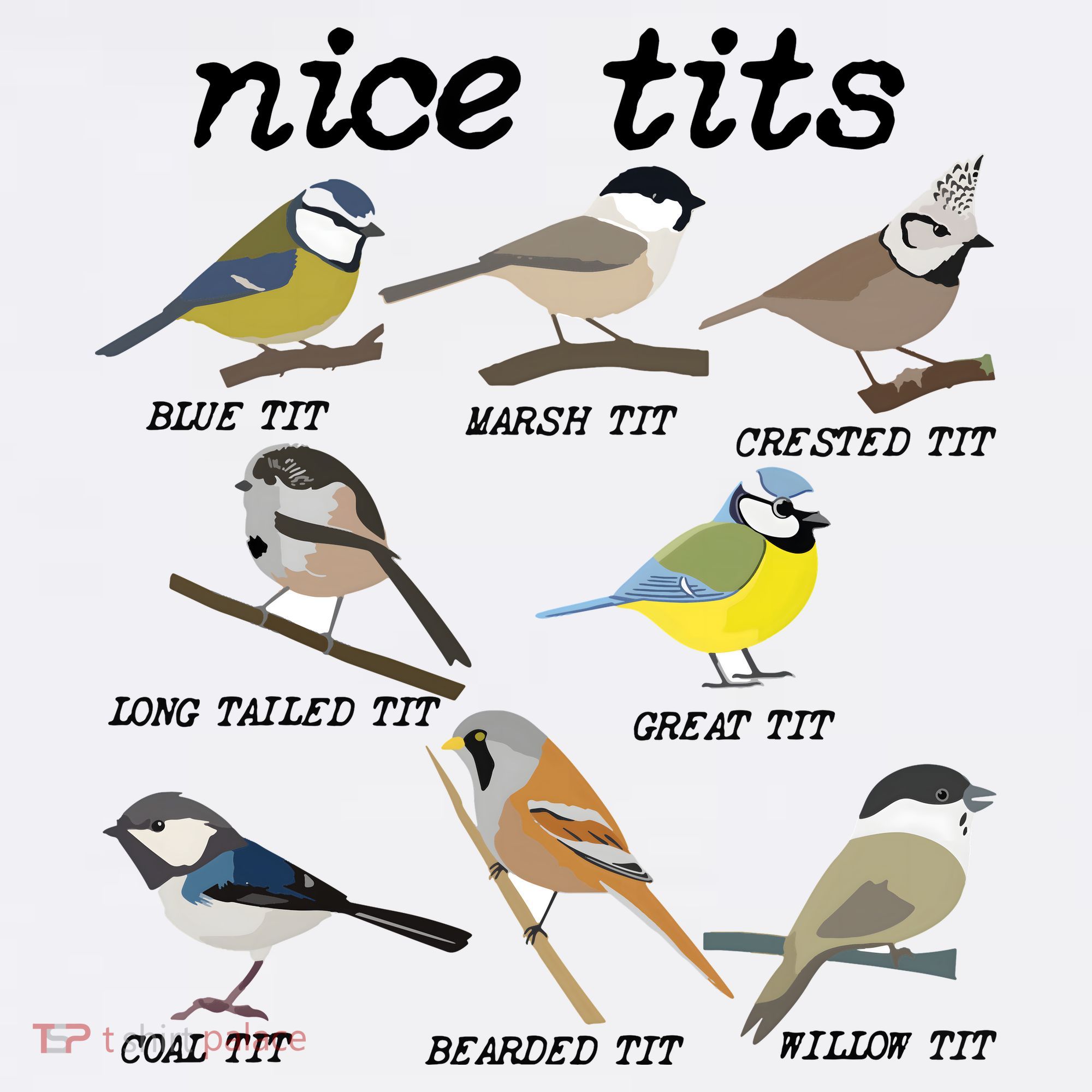 Nice Tits Funny Bird Watching Birdwatcher Comfort Colors Garment-Dyed Hooded Sweatshirt