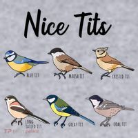 Nice Tits Funny Bird Watching Birding Women's Sweatshirt thumb 2