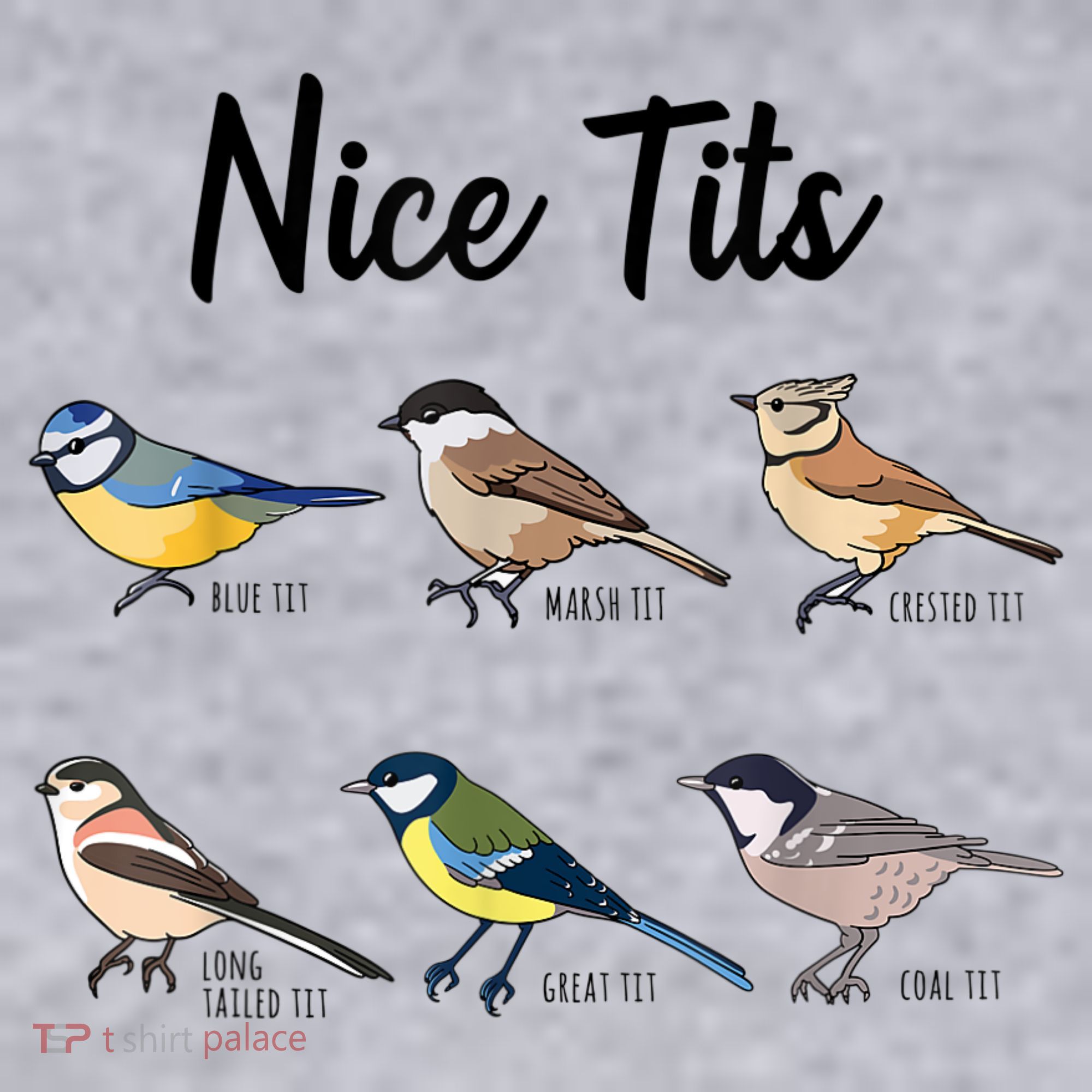 Nice Tits Funny Bird Watching Birding Women's Sweatshirt