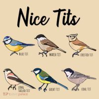 Nice Tits Funny Bird Watching Birding Tote Bag thumb 4