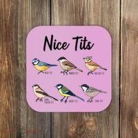 Nice Tits Funny Bird Watching Birding Coaster thumb 0