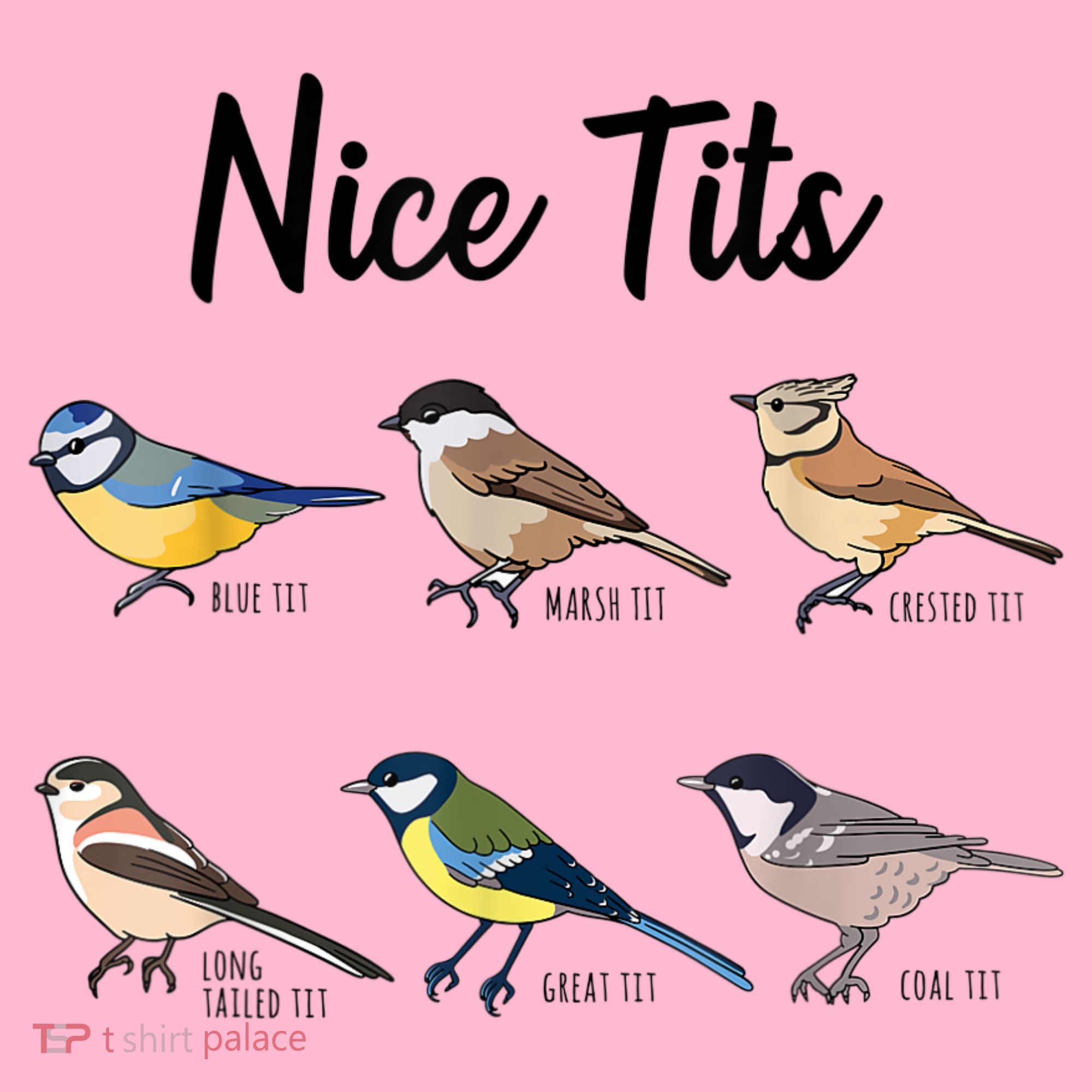 Nice Tits Funny Bird Watching Birding Coaster