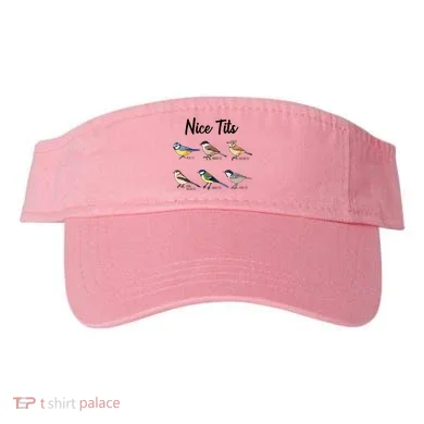 Visor