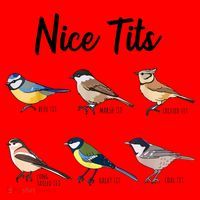 Nice Tits Funny Bird Watching Birding Santa Hat thumb 1