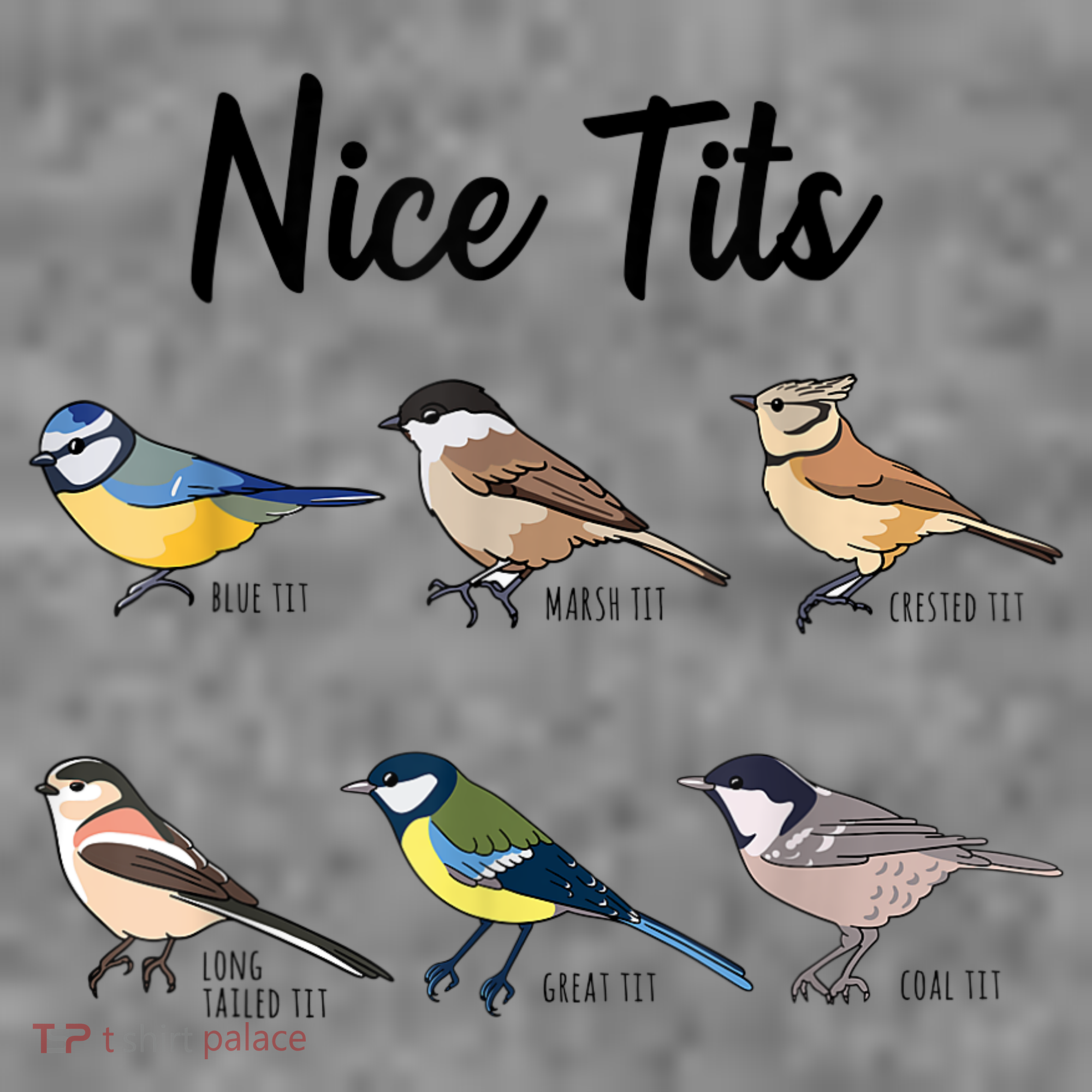 Nice Tits Funny Bird Watching Birding Toddler Hoodie
