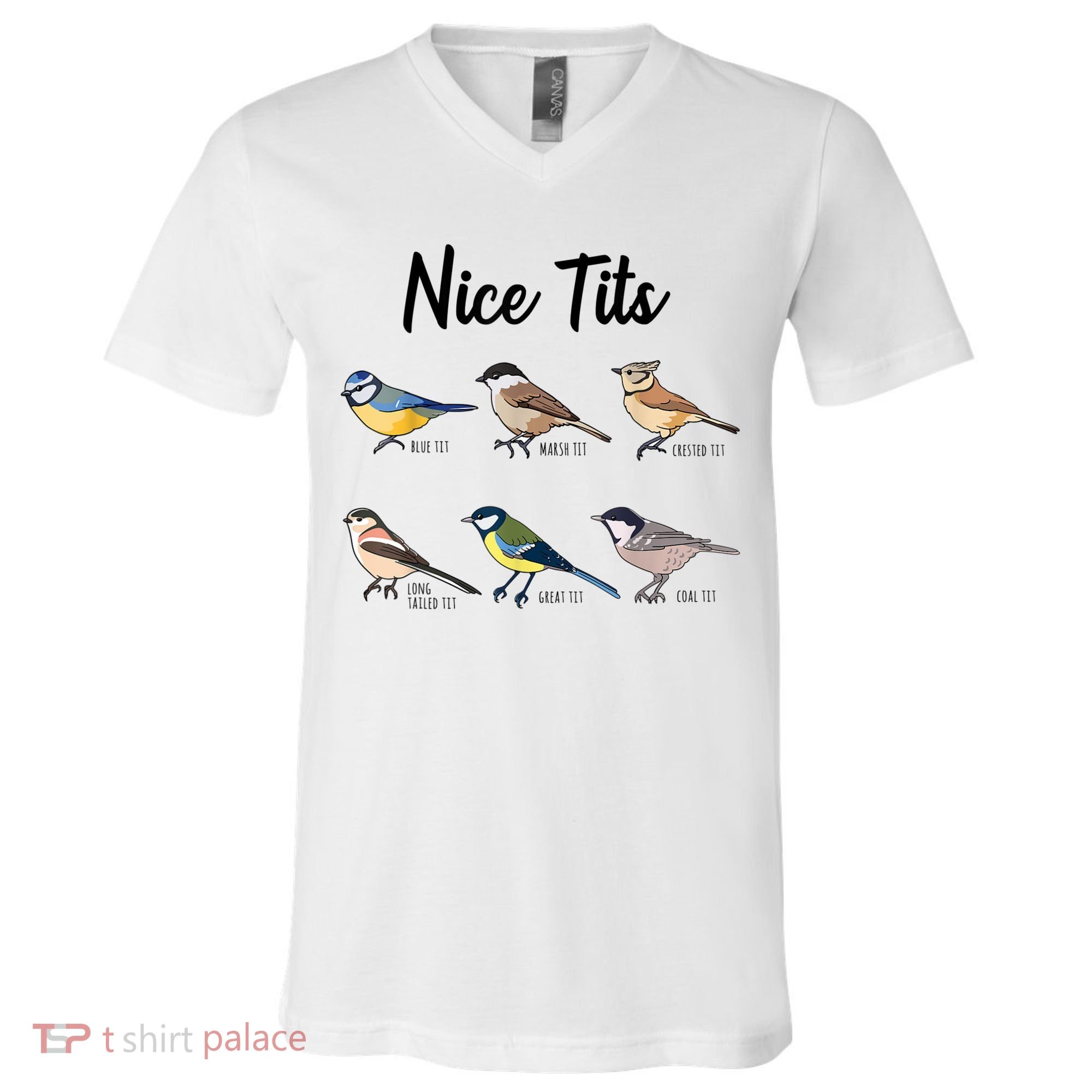 Nice Tits Funny Bird Watching Birding V-Neck T-Shirt