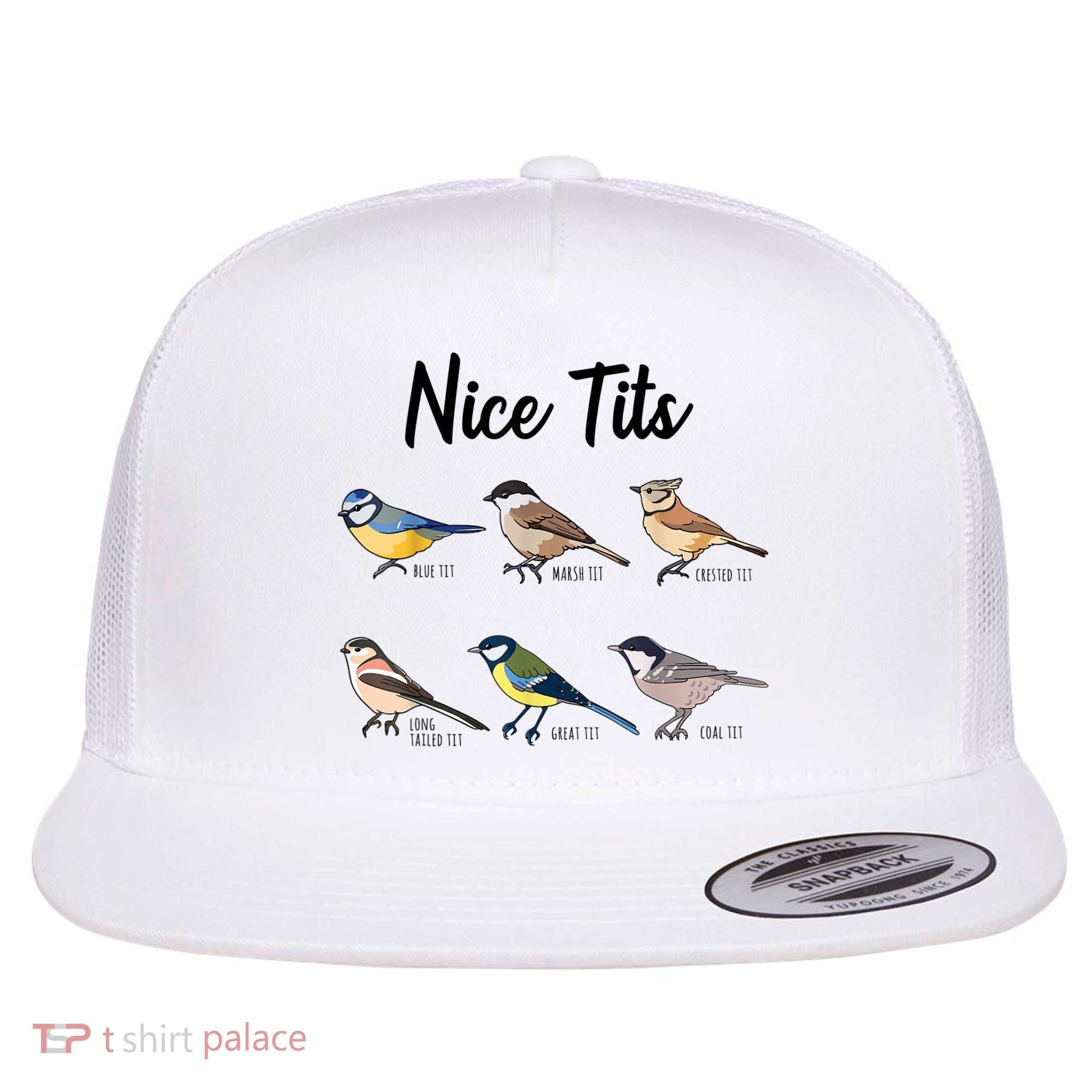 Nice Tits Funny Bird Watching Birding Flat Bill Trucker Hat