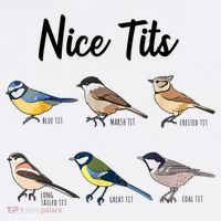 Nice Tits Funny Bird Watching Birding Baby Bodysuit thumb 2