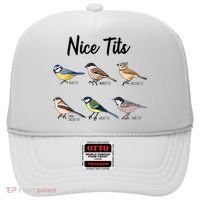 Nice Tits Funny Bird Watching Birding Hat thumb 0