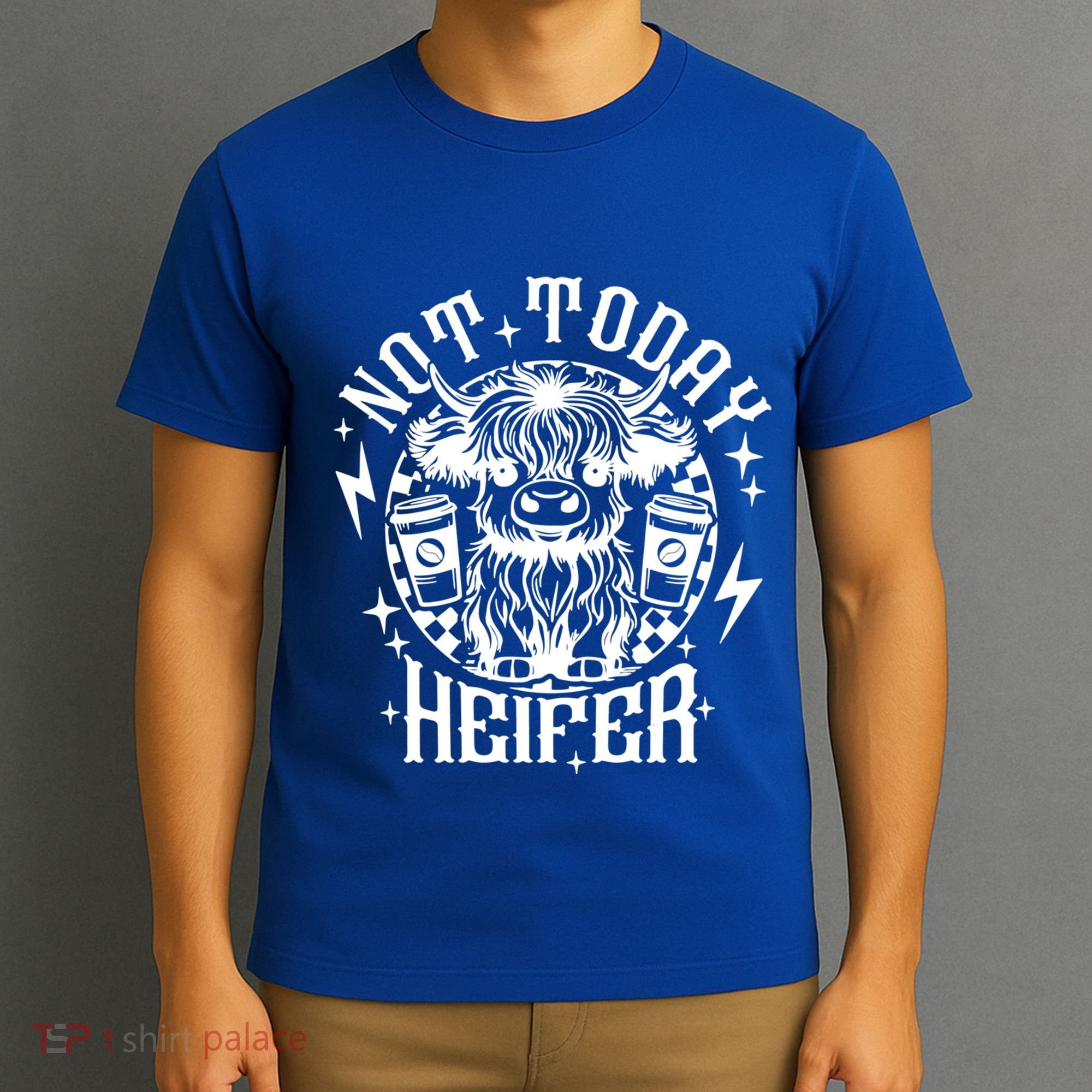 Not Today Heifer Not My Pasture Not My Bullshit Floral Gift T-Shirt
