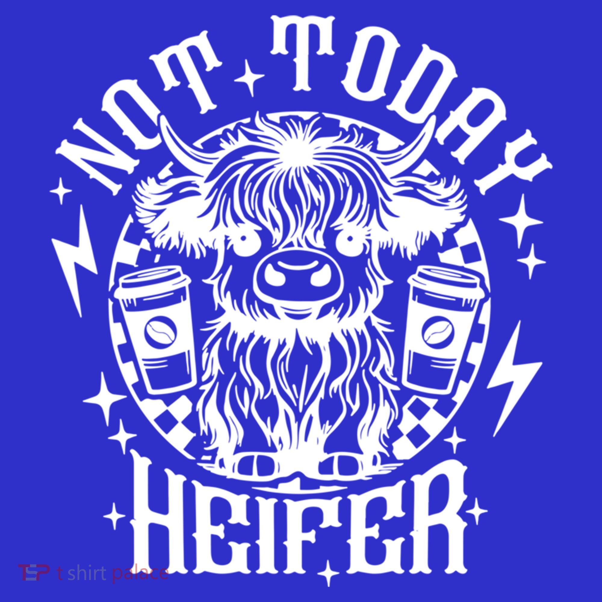 Not Today Heifer Not My Pasture Not My Bullshit Floral Gift Toddler T-Shirt