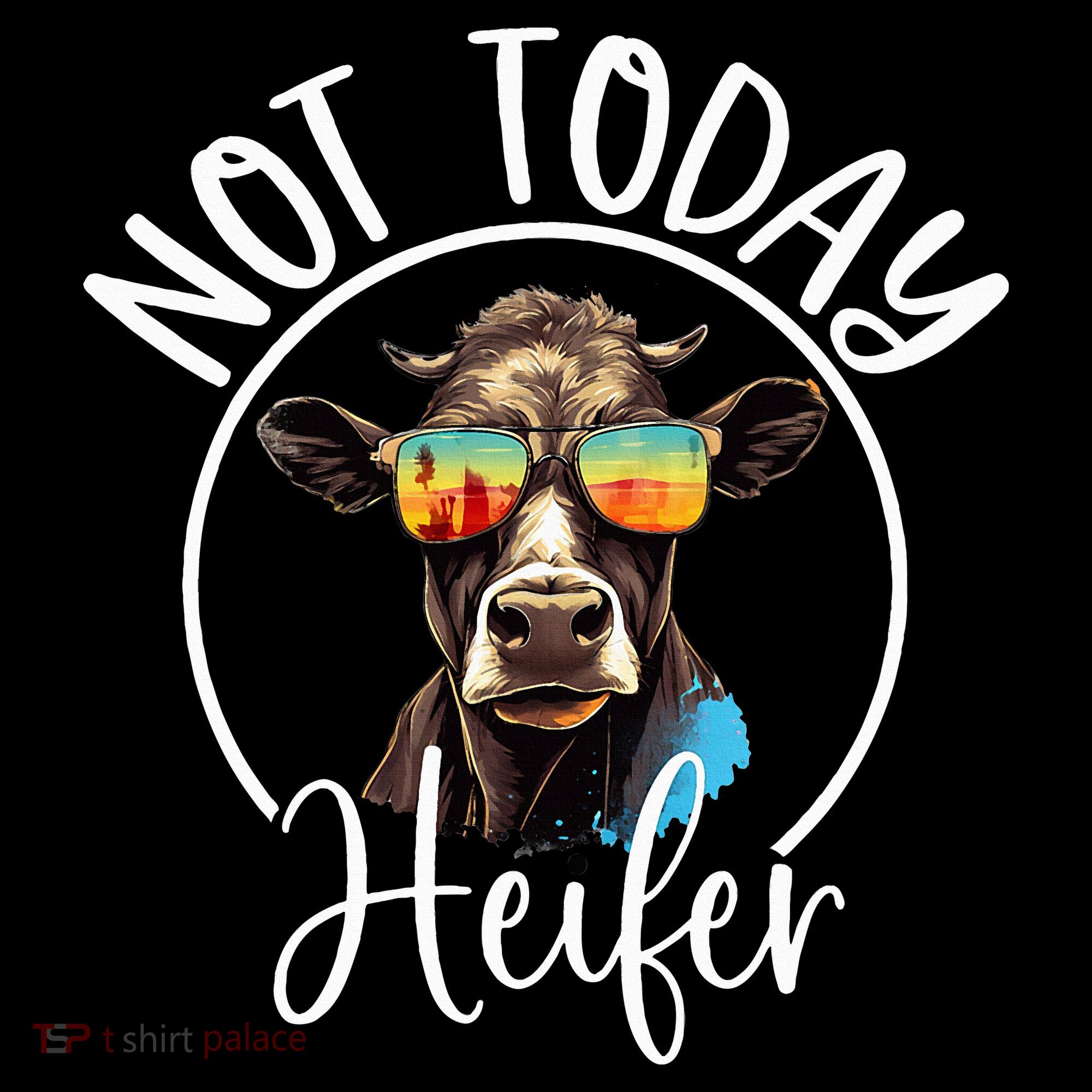 Not Today Heifer Funny Country Life Women's Hoodie