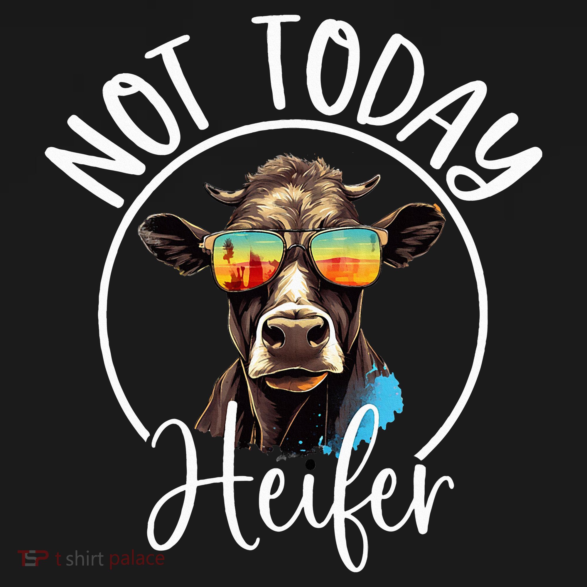 Not Today Heifer Funny Country Life Women's T-Shirt