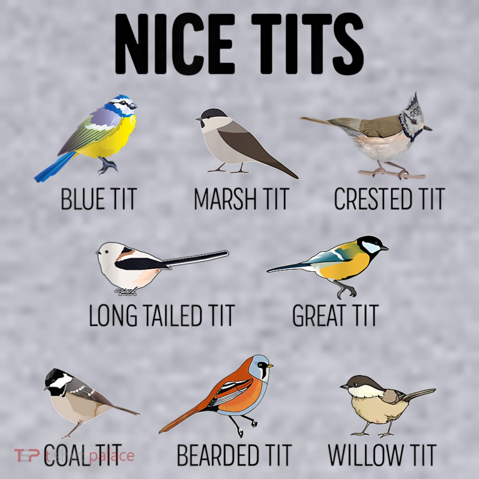 Nice Tits Pun Joke Funny Bird Lover Enthusiast Birdwatcher Women's Sweatshirt