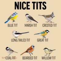Nice Tits Pun Joke Funny Bird Lover Enthusiast Birdwatcher Tote Bag thumb 4