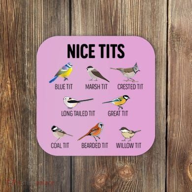 Nice Tits Pun Joke Funny Bird Lover Enthusiast Birdwatcher Coaster