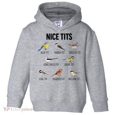 Nice Tits Pun Joke Funny Bird Lover Enthusiast Birdwatcher Toddler Hoodie