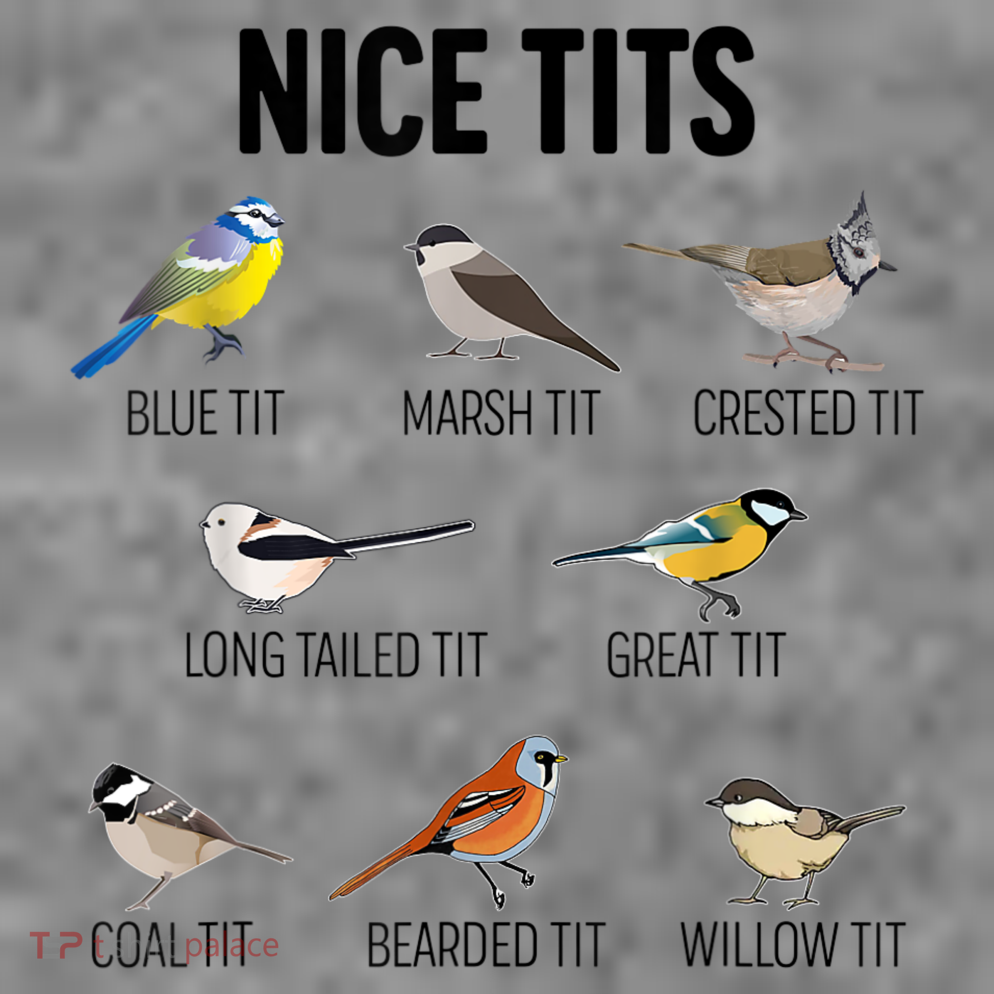 Nice Tits Pun Joke Funny Bird Lover Enthusiast Birdwatcher Toddler Hoodie