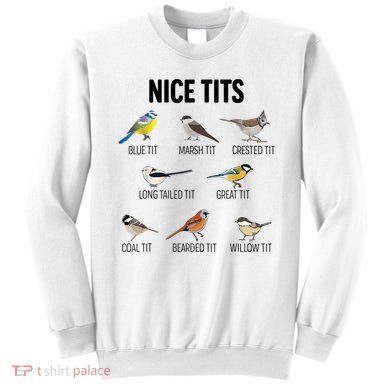 Nice Tits Pun Joke Funny Bird Lover Enthusiast Birdwatcher Sweatshirt