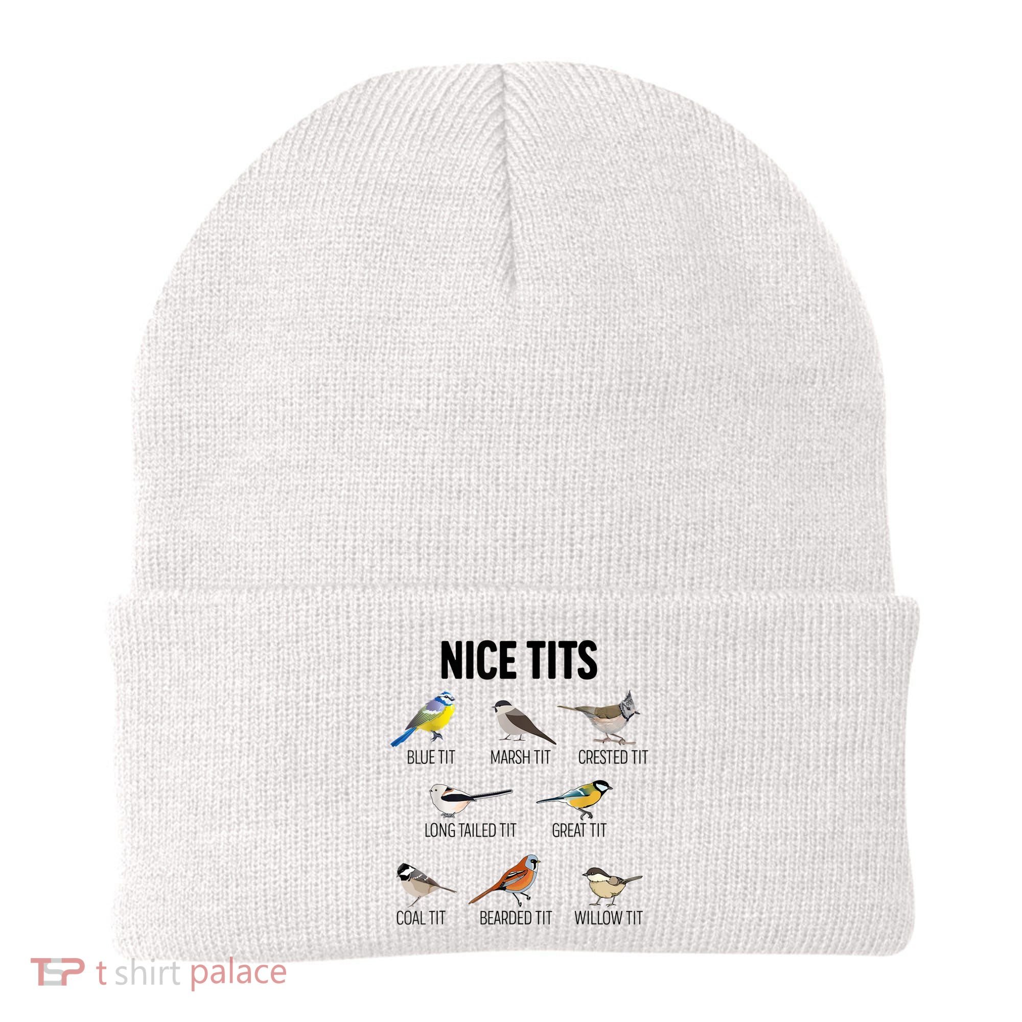 Nice Tits Pun Joke Funny Bird Lover Enthusiast Birdwatcher Beanie